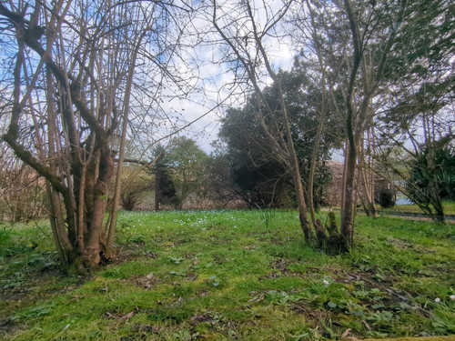 IMG 20260308 165235 983.jpg