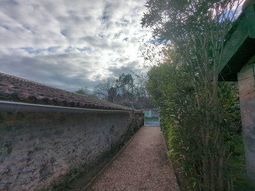 IMG 20260308 165036 619.jpg