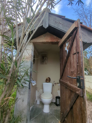 IMG 20260308 165345 031.jpg