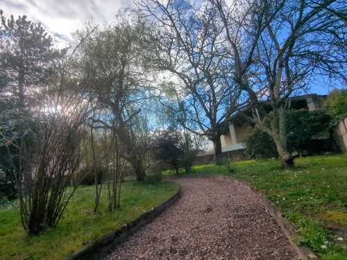 IMG 20260308 165217 566.jpg