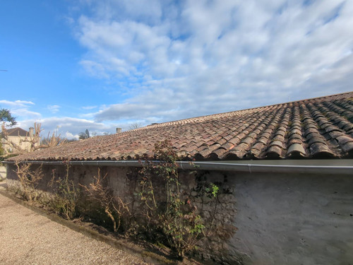 IMG 20260308 165010 776.jpg