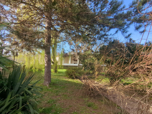 IMG 20260308 164925 194.jpg