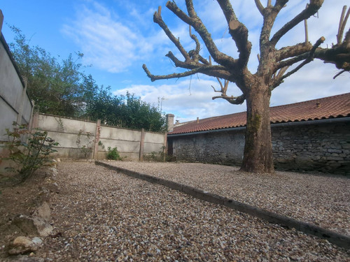 IMG 20260308 165408 392.jpg