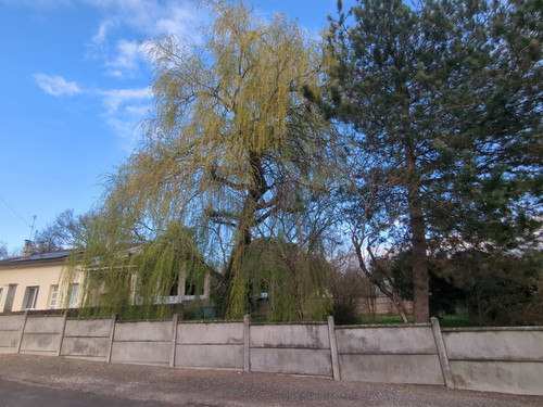 IMG 20260308 164616 875.jpg