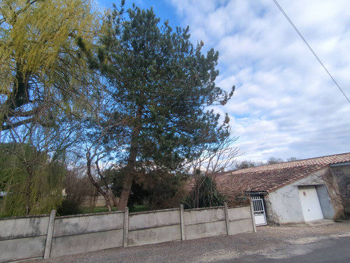 IMG 20260308 164622 101.jpg