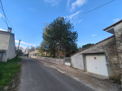 IMG 20260308 164551 513.jpg