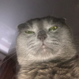 vc0AogABRaLpiG3g HGiOAXdO5EezpIG40eJjft0vUWaSKxgfIUyMo28lVkGF5isqt6lHGpLJzka1yV kcvNoCeLJMrS7B7E9M99.jpg