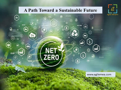 A Path Toward a Sustainable Future(net zero).jpg