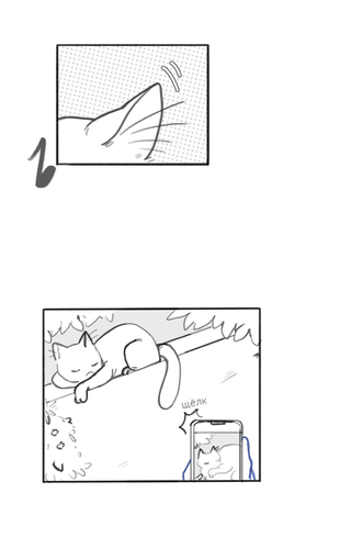 Без названия1626.png