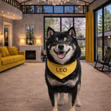 봄, 거실에 서있는 레오.png