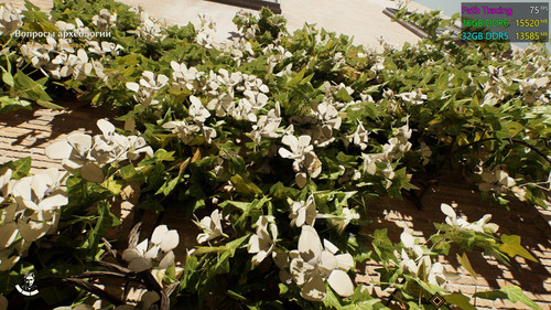 TheGreatCircle 2024 12 10 18 13 48 447.jpg