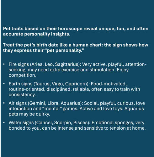 PETS.png