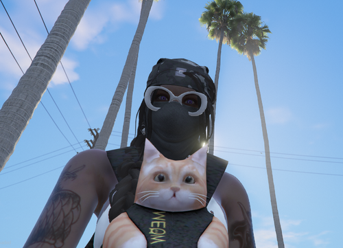 FiveM GTAProcess OCRipdfKAy.png