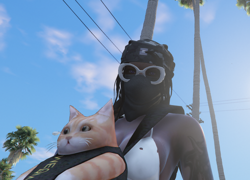 FiveM GTAProcess YWIvgblFWz.png