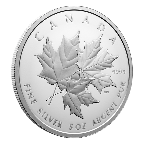 248883 reva 1200.png