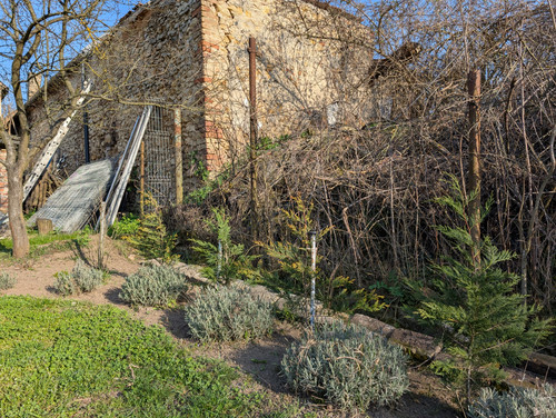 PXL 20260318 144115893.jpg