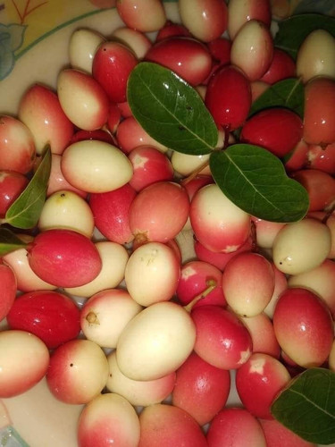 Bangladeshi Fruits.jpg