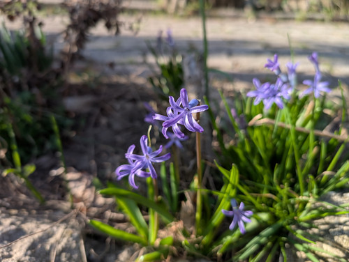 PXL 20260318 144200357.jpg