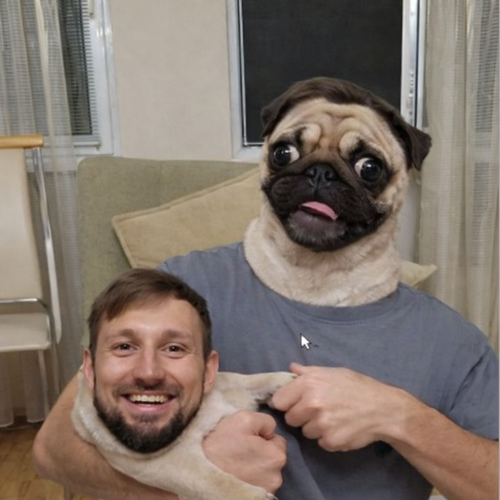 Поменялись лицами человек и карликовый пудель.png