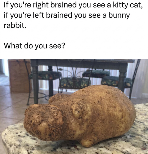 6b613728 e659 43dd a2d5 eb8563a2c78e.png