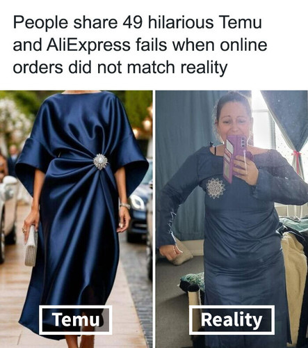temu aliexpress expectations reality pics.jpg