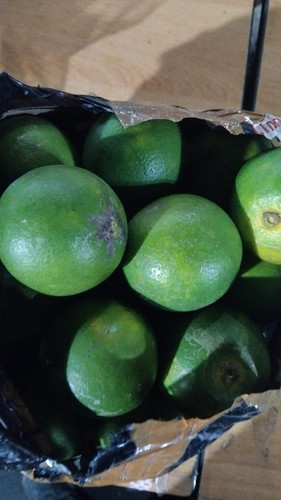 WhatsApp Image 2026 03 19 at 03.31.39.jpg