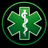 ems icon.png