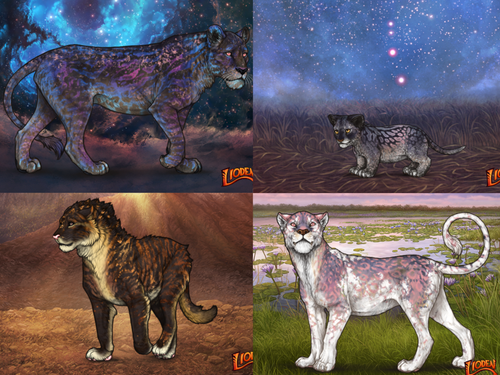 Untitled Artwork.png