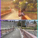 巡禮相框1080p (27)