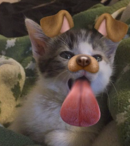 Screenshot 2026 03 19 034959.png