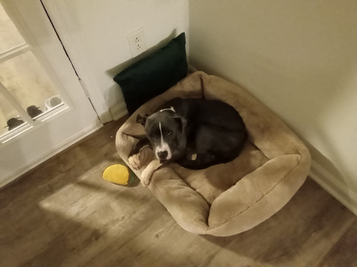 IMG 20260318 072106 764.jpg