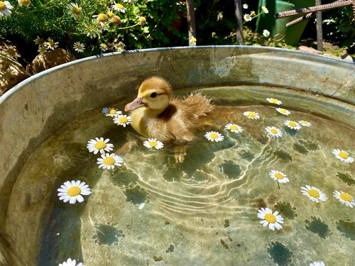 微信图片 20260317184806 44503 105.png