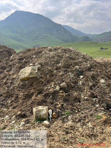 photo 14 2026 03 25 17 54 02.jpg