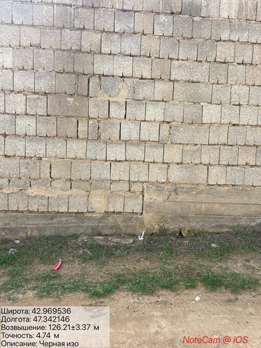 photo 7 2026 03 25 17 54 02.jpg