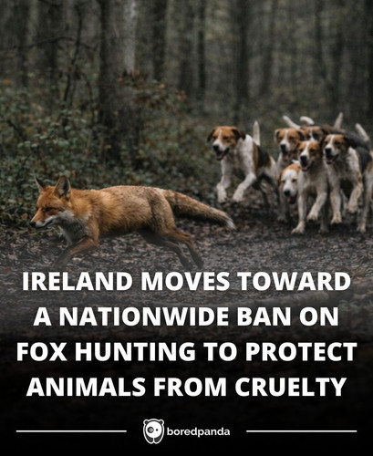 Copy of FB Native Template v8 (2).jpg