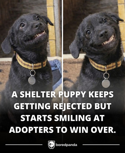 Copy of FB Native Template v8 (5).jpg