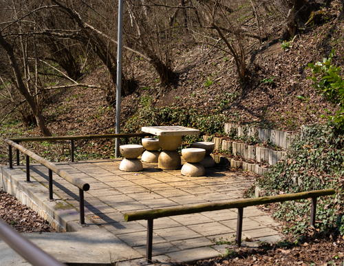 DSC02339.png
