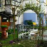 DSC02349