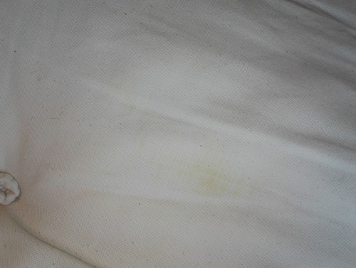 IMG 20190202 101620.jpg