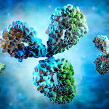 antibodies suppliers.png