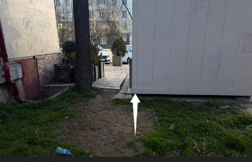 IMG 20260325 175524.jpg