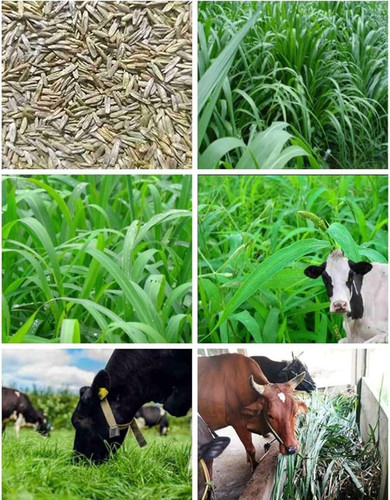 4cb93d6f 0cb8 4bdd 972d b39d006b46b3.jpg