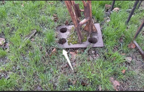 IMG 20260325 175844.jpg