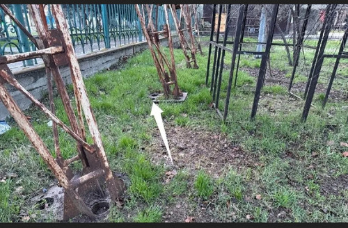 IMG 20260325 175853.jpg