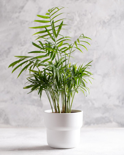 HzsWyCZ4Wf8 qn12VWWrLbXQPQssbBELDwi1RhwxEh5LduLlUGMfVt8M5Wn5EvEzIycw60B9RQjA sjYx0SKCwToRwkYtU5Mq60u.jpg