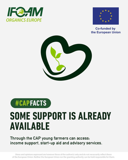 HDo0GT0XYAIs 4?format=jpg.jpg