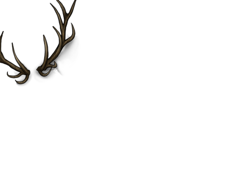 wha;leshaks male.png