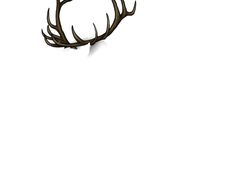 wha;leshaks adol.png