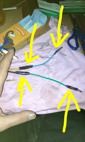 orca image 1035493684.jpeg.jpg