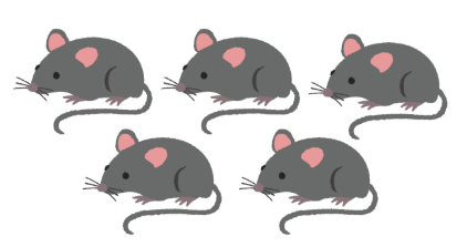 Screenshot 2026 03 19 145859.png